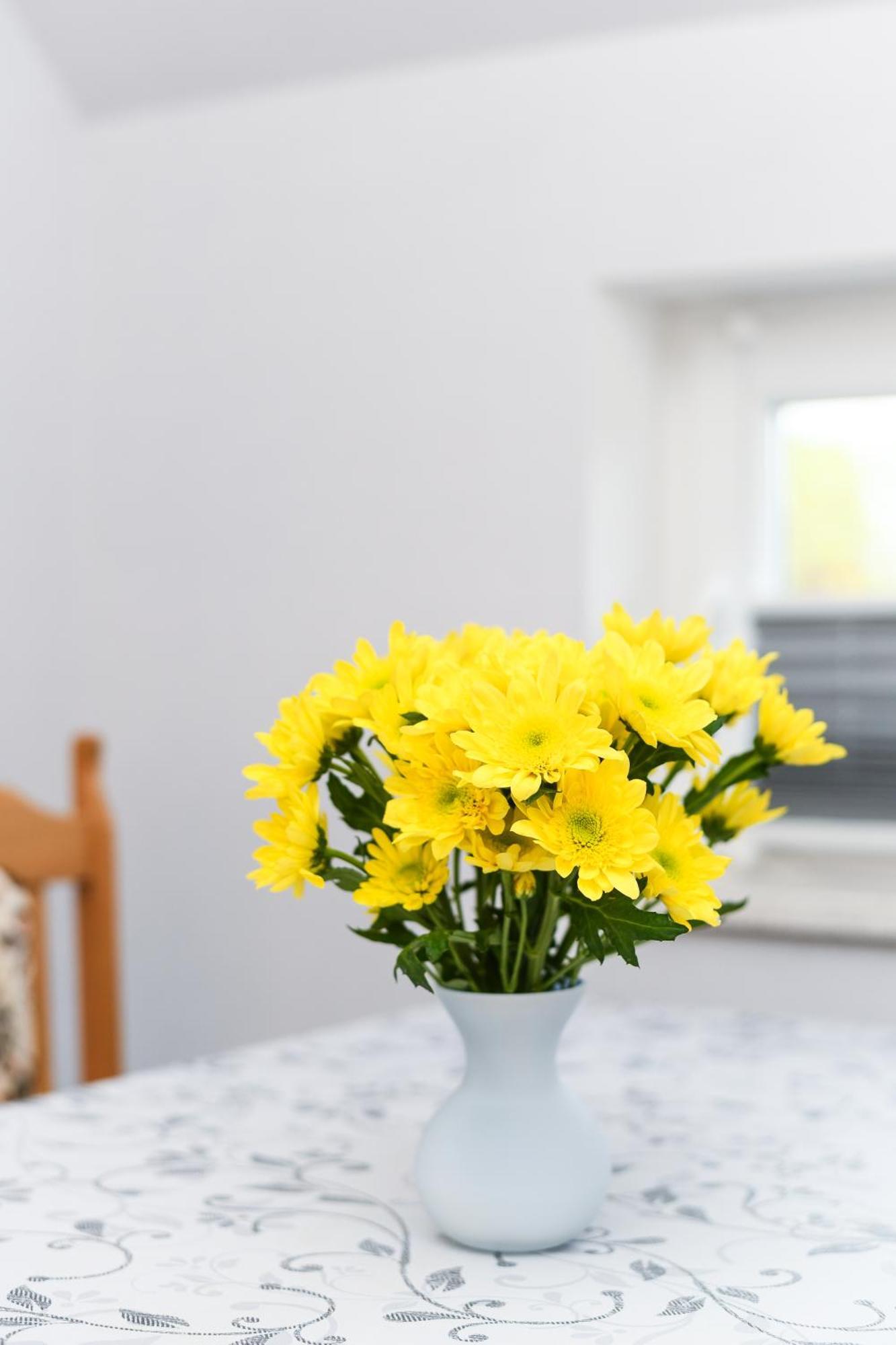 Ferienwohnung Nordmoor Blomberg  Buitenkant foto
